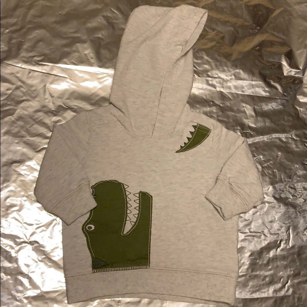 3 Month Dinosaur Zip-Up Hoodie